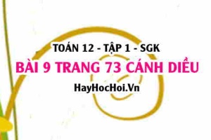 Bài 9 trang 73 Toán 12 tập 1 Cánh Diều